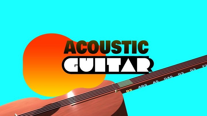 Acoustic Guitar