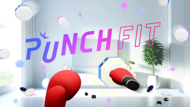 PUNCH FIT - MR Edition -