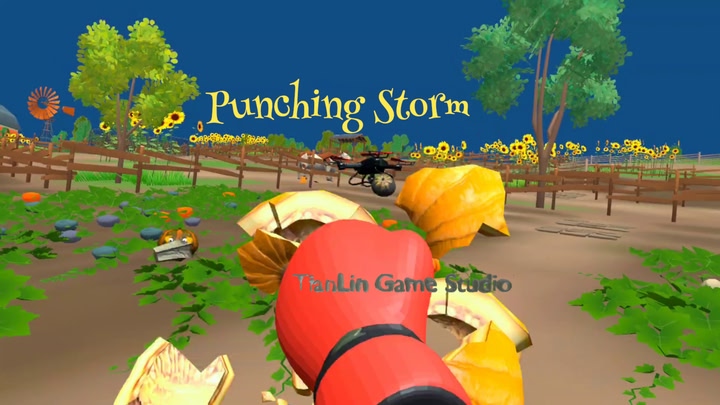 Punching Storm